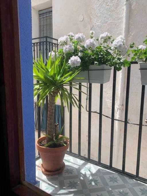 Casa Ziba Casco Antiguo Wifiaa Daire Peñíscola Dış mekan fotoğraf